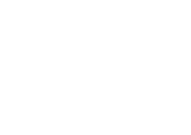 LINT Logo